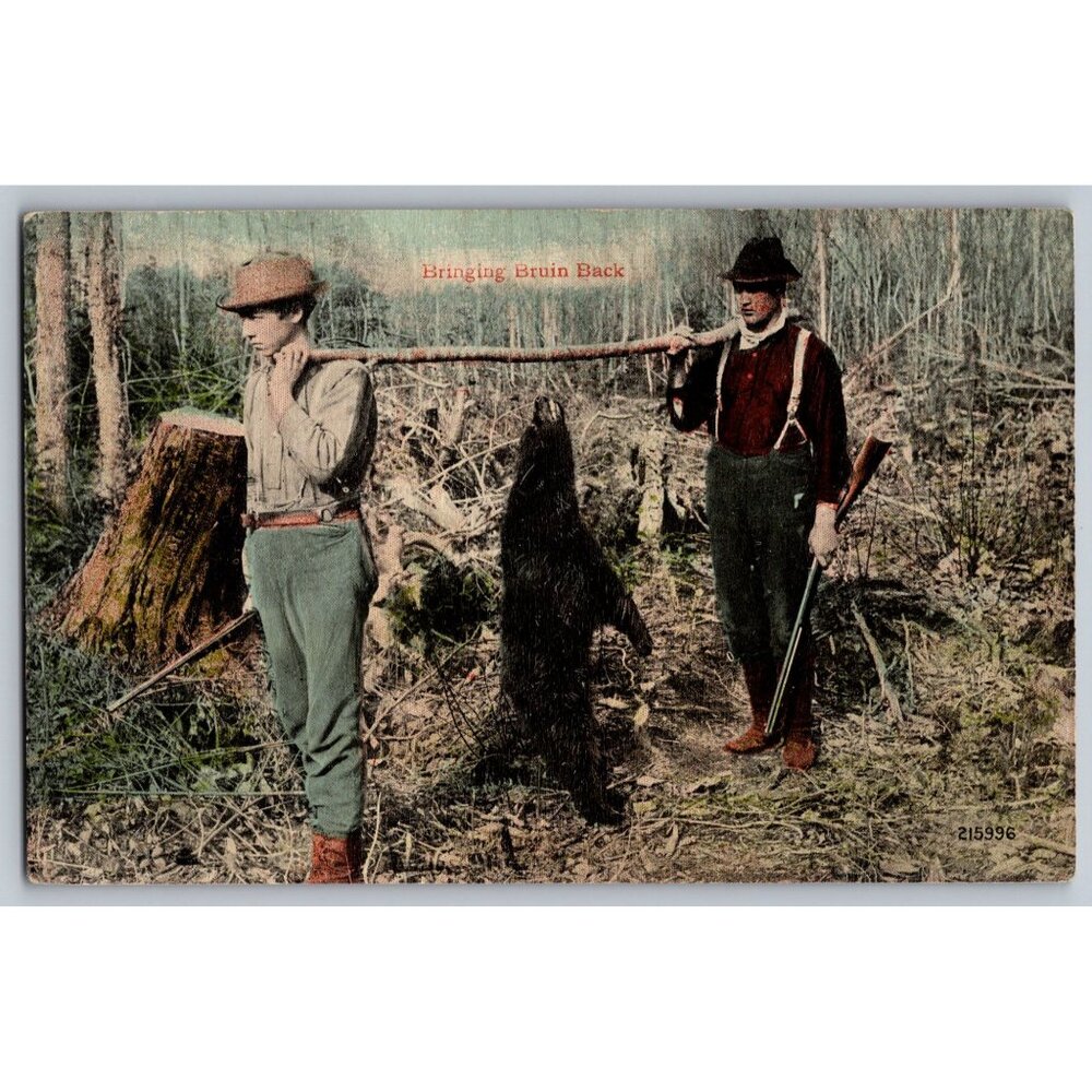 Vintage Postcard "Bringing Bruin Back" Leighton & Valentine Co. #1692